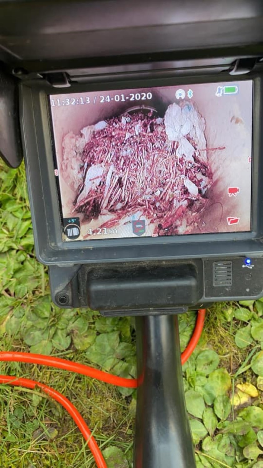 Videoispezione: ostruzione da radici
